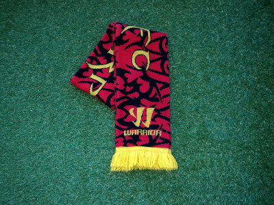 Liverpool Warrior scarf 