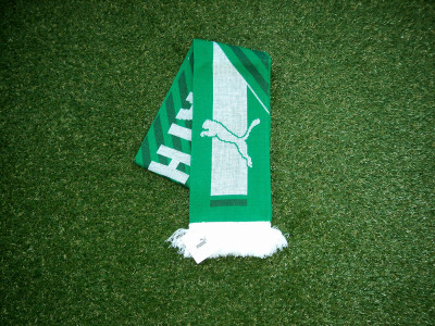 Panathinaikos PUMA scarf