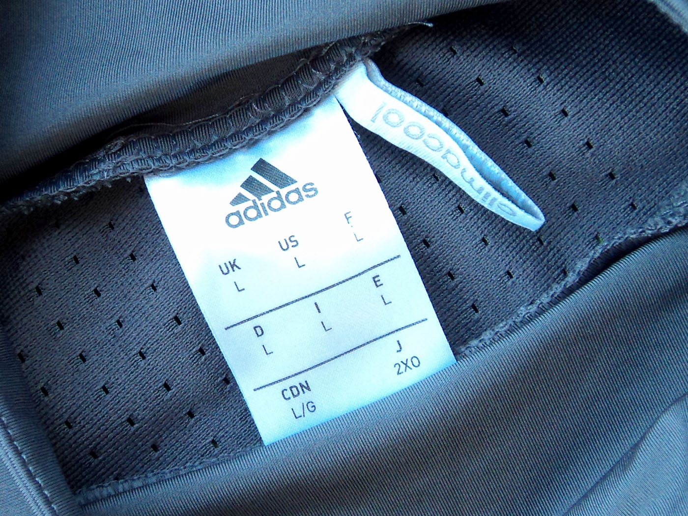 2016-2017 Τσέλσι προπονητικό top - Large