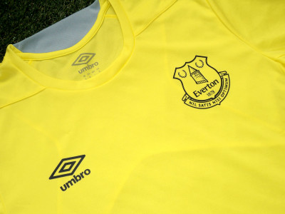 2018-2019 Everton training shirt - Medium