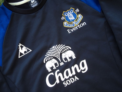 2011-2012 Everton training jumper - Large (2)