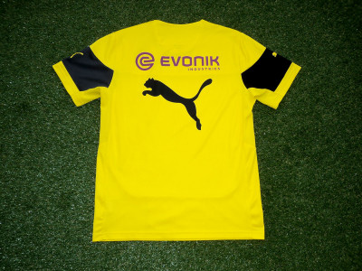 2014-2015 Borussia Dortmund Training shirt - Medium