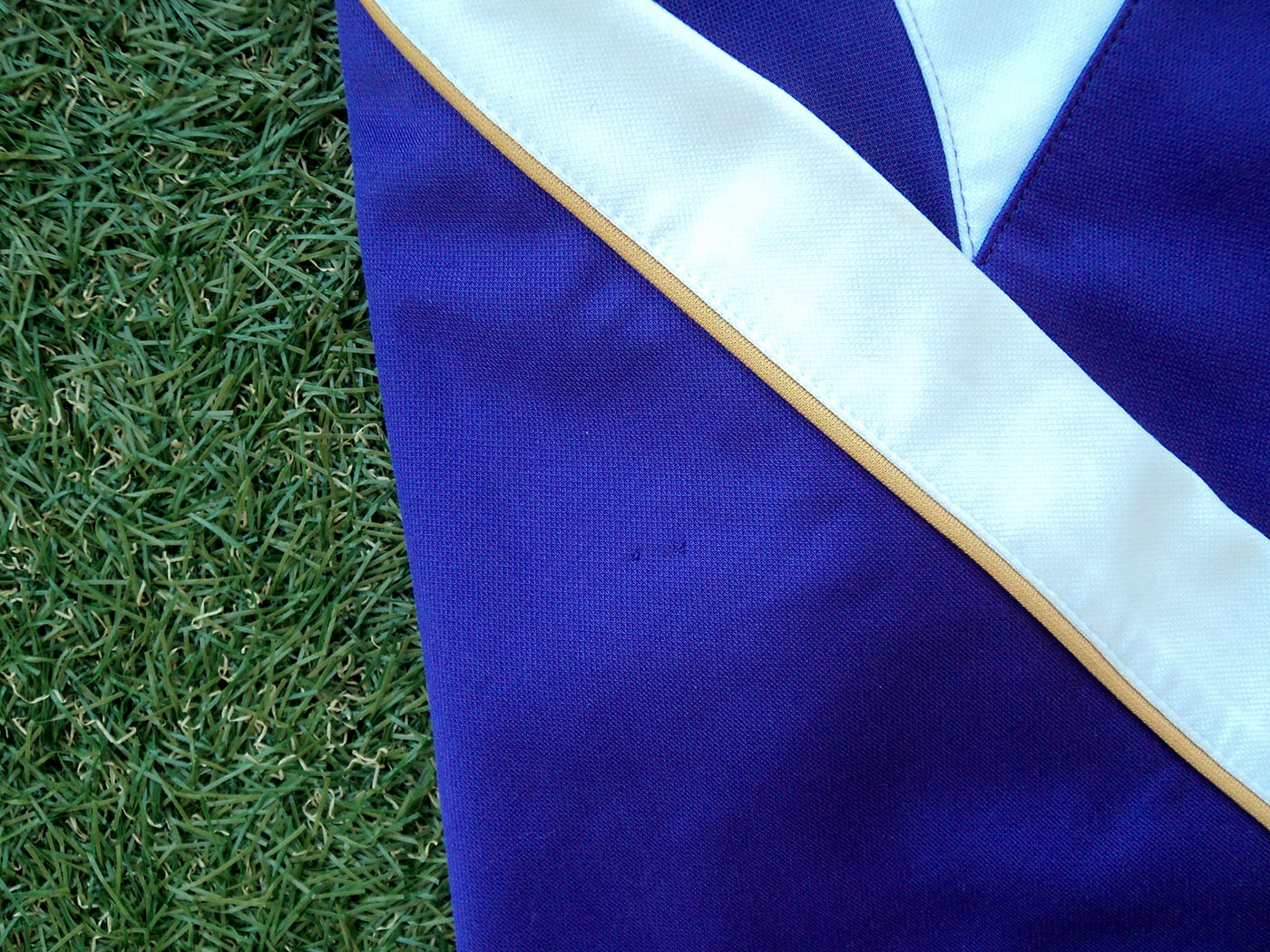 2012-2013 Φιορεντίνα προπονητικό φούτερ - Small